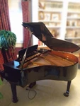 Pearl River Model Gp142 4 7 Baby Grand (polished Ebony) W/ Iq Player System. Fixed Price $6000.00.