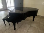 Haddorff Piano Co Grand Ebony Black 88 Keys 3 Pedals Serial. Fixed Price $1950.00.