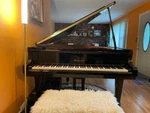 Bergmann Tg-157 Size 5'2" Grand Piano - Polished Ebony In Mint Condition. Fixed Price $4500.00.