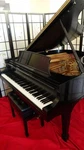 Steinway Model M 1981 Grand Piano 5'7" Satin Ebony *warranty* See Sonny's Video!. Fixed Price $19500.00.