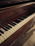 Steinway Grand Piano Model M Built In 1927 Has Been Only One Family. Fixed Price $5397.50.
