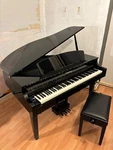 Clp-665gp Digital Baby Grand Piano & Stool. Fixed Price $1100.00.