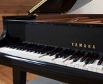 Piano Bar Favorites For Pianodisc Pianocd Pds-228 Cfx Pds-128 Opus7 Player. Fixed Price $29.95.