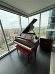 Steinway Baby Grand Piano 1923 Fully Restored Model L. Fixed Price $19995.00.