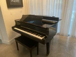 Bergmann Tg-150 4'11" Ebony Polish Baby Grand Piano With Prodigy Player System. Fixed Price $3900.00.