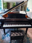 Young Chang Pg-185 Pramberger 6' Baby Grand Piano. Fixed Price $9000.00.