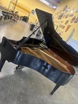 Yamaha Kg2d 1982 5 10 Grand Piano Outlet. Fixed Price $8500.00.