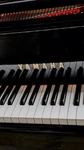 Yamaha Gh1 Baby Grand Piano High Gloss Ebony. Fixed Price $10999.00.