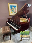 Schimmel Sp-182 6' Konzert Grand Bubinga Polish (rare) Free Delivery *. Fixed Price $32500.00.