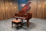 Schimmel 174 Parlor Grand Piano 5'8" Ebony Gloss Used. Fixed Price $19190.00.