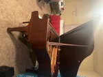 Beautiful Hallet, Davis & Co., Baby Grand Piano. Fixed Price $4500.00.