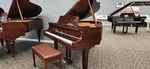 2018 Yamaha Gb1k Polished Walnut Baby Grand Piano * Free 1st Floor Nj Delivery!. Fixed Price $16999.00.