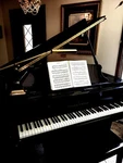 Young Chang Pramberger Pg150 5' Black Baby Grand Piano. Fixed Price $5000.00.