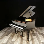 Young Chang Grand Piano - 5'9" (includes Free Shipping Usa). Fixed Price $9900.00.