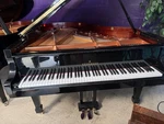 Brodmann 6'2" Grand Piano. Fixed Price $30000.00.
