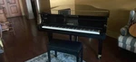Cable Nelson (yamaha) Baby Grand Piano. Fixed Price $11000.00.