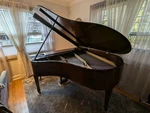 Steinway Baby Grand Piano Model M. Fixed Price $10500.00.