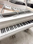 100 Anniversary Steinway Grand Piano White Sterling Edition - Restored 2025. Fixed Price $30000.00.