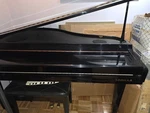 Samick Digital Petit Baby Grand Piano Spd 200 Amd Bench. Fixed Price $900.00.