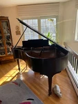 1929 Steinway Baby Grand Piano Model M. Fixed Price $9000.00.