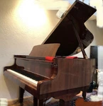 Pre-owned Petrof-iv. Fixed Price $15000.00.
