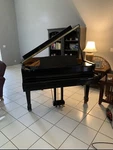 Steigerman Xg-143 Petit Grand Piano 4'9" Polished Ebony. Fixed Price $3200.00.